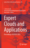 Expert Clouds and Applications