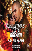 Christmas Data Breach