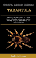 Costa Rican Zebra Tarantula: The fundamental guide on Costa Rican Zebra tarantula, care, diet, feeding, housing, personality and pet information
