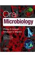 Oral Microbiology