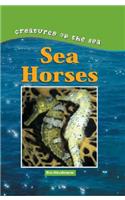 Sea Horse