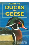 Guide to Ducks and Geese