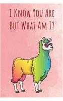 I Know You Are But What Am I?: Funny Unique Motivational Colorful Journal Notebook For Birthday, Anniversary, Christmas, Graduation and Holiday Gifts for Girls, Women, Men and Boy
