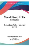 Natural History Of The Honeybee