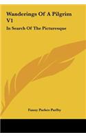 Wanderings of a Pilgrim V1: In Search of the Picturesque: During Four-And-Twenty Years in the East(English)