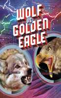 Wolf vs Golden Eagle