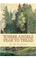 Where Angels Fear to Tread