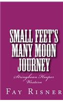 Small Feet's Many Moon Journey