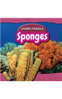 Sponges