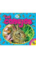 Conejos