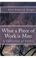 What a Piece of Work is Man: A Collection of Poetry