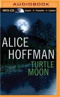 Turtle Moon
