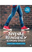 Juvenile Delinquency in a Diverse Society