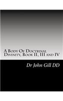 A Body Of Doctrinal Divinity, Book II, III and IV