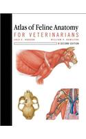 Atlas of Feline Anatomy For Veterinarians