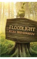 Floodlight