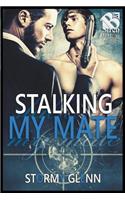 Stalking My Mate [Assassins Inc. 5] (The Stormy Glenn ManLove Collection)