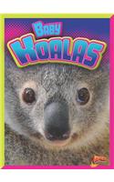 Baby Koalas