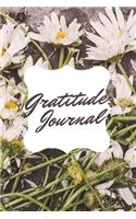 My Gratitude Journal