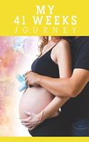 My 41weeks Journey
