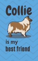 Collie is my best friend: For Collie Dog Fans