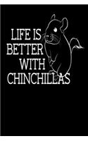 Life Is Better With Chinchillas