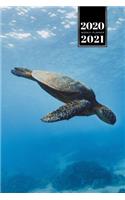 Sea Turtle Tortoise Terrapin Week Planner Weekly Organizer Calendar 2020 / 2021 - Dive In Sea