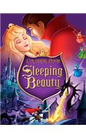 Sleeping Beauty Coloring Book