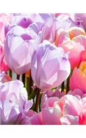 Tulip Notebook