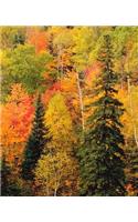 School Composition Book Fall Foliage Valley Autumn Season 130 Pages: (Notebook, Diary, Blank Book)