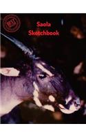 Saola Sketchbook