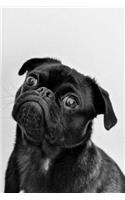 Pug Dot Grid Journal: Blank Dotted Grid Pug Dog Journal: Black and White Design
