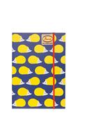 Anorak Out & About Book