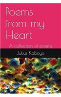 Poems from my Heart: A collection of poems(1 Rhythm of My Mind)