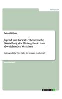 Jugend und Gewalt - Theoretische Darstellung der Hintergründe zum abweichenden Verhalten