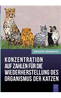 Konzentration auf Zahlen für die Wiederherstellung des Organismus der Katzen