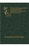 Die Entwicklungsgeschichte der Mineralien der Talkglimmer-familie und ihrer Verwandten