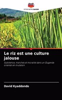 Le riz est une culture jalouse