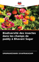 Biodiversité des insectes dans les champs de paddy à Bhavani Sagar