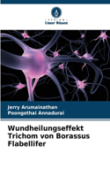 Wundheilungseffekt Trichom von Borassus Flabellifer