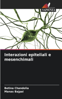 Interazioni epiteliali e mesenchimali