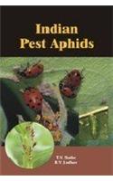 Indian Pest Aphids