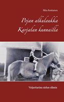 Pojan alkulaukka Karjalan kunnailla: - veijaritarina sielun silmin