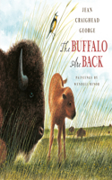 Buffalo Are Back