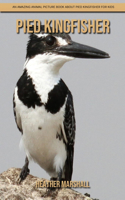 Pied Kingfisher