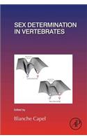 Sex Determination in Vertebrates