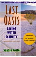 Last Oasis
