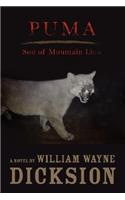 Puma Son of Mountain Lion