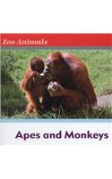 Apes and Monkeys