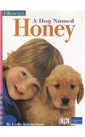 Iopeners a Dog Named Honey Single Grade K 2005c: (iOpeners)